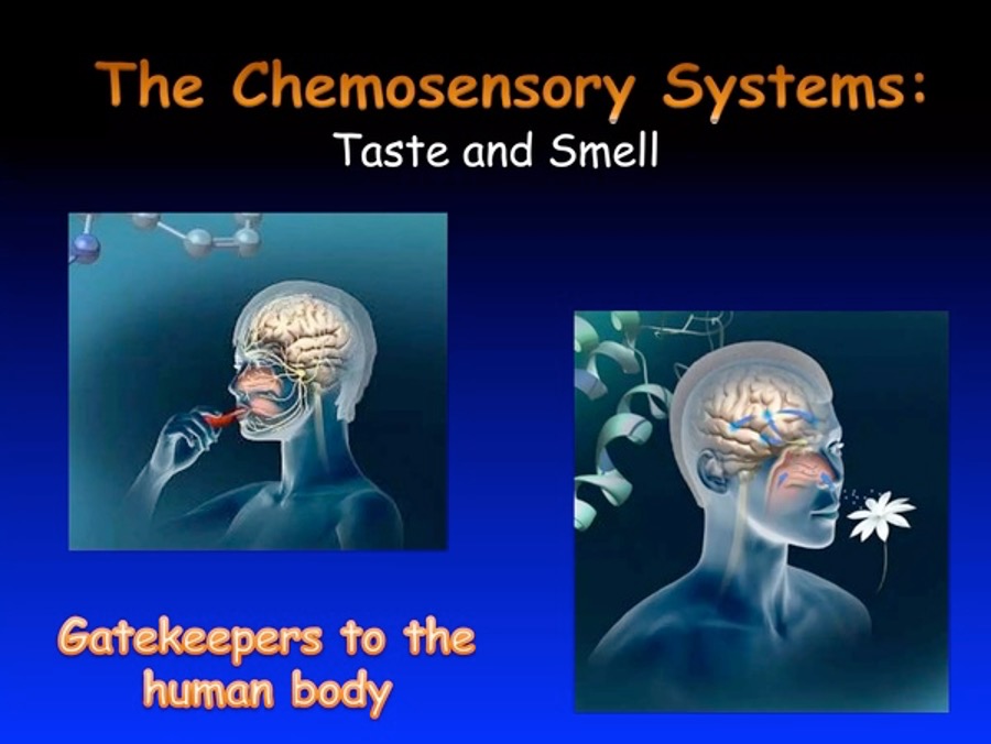 The Highly Profitable Intentional Manipulation of Our Chemosensory Systems - The HighWire