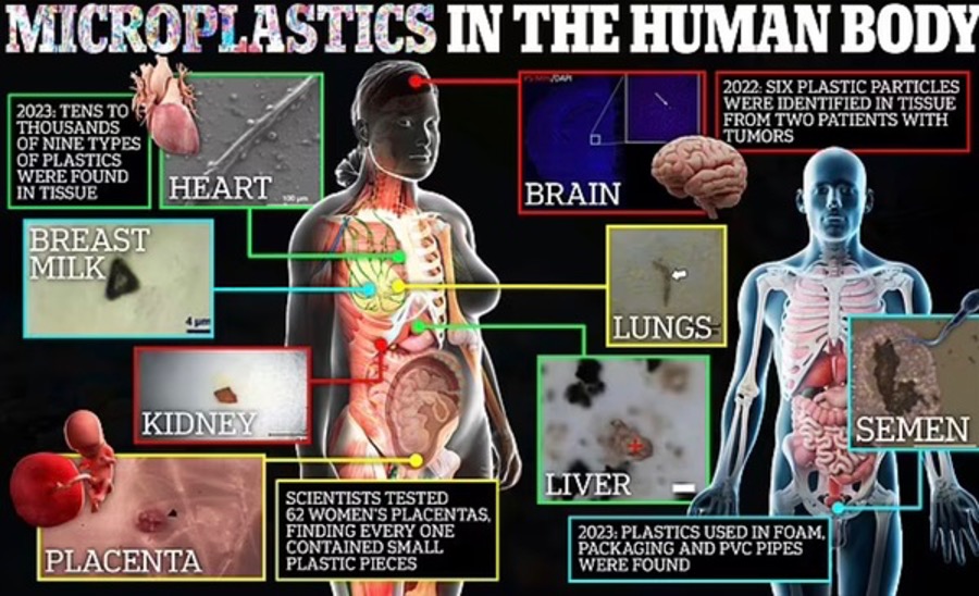 Despite Being a Serious Threat to Human Reproduction, Plastics are Set to Shape the Future - The HighWire