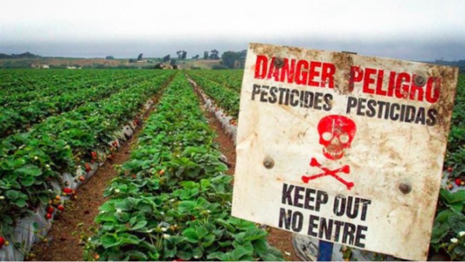 Attorneys General in Eleven States are Prioritizing Pesticides Over People - The HighWire