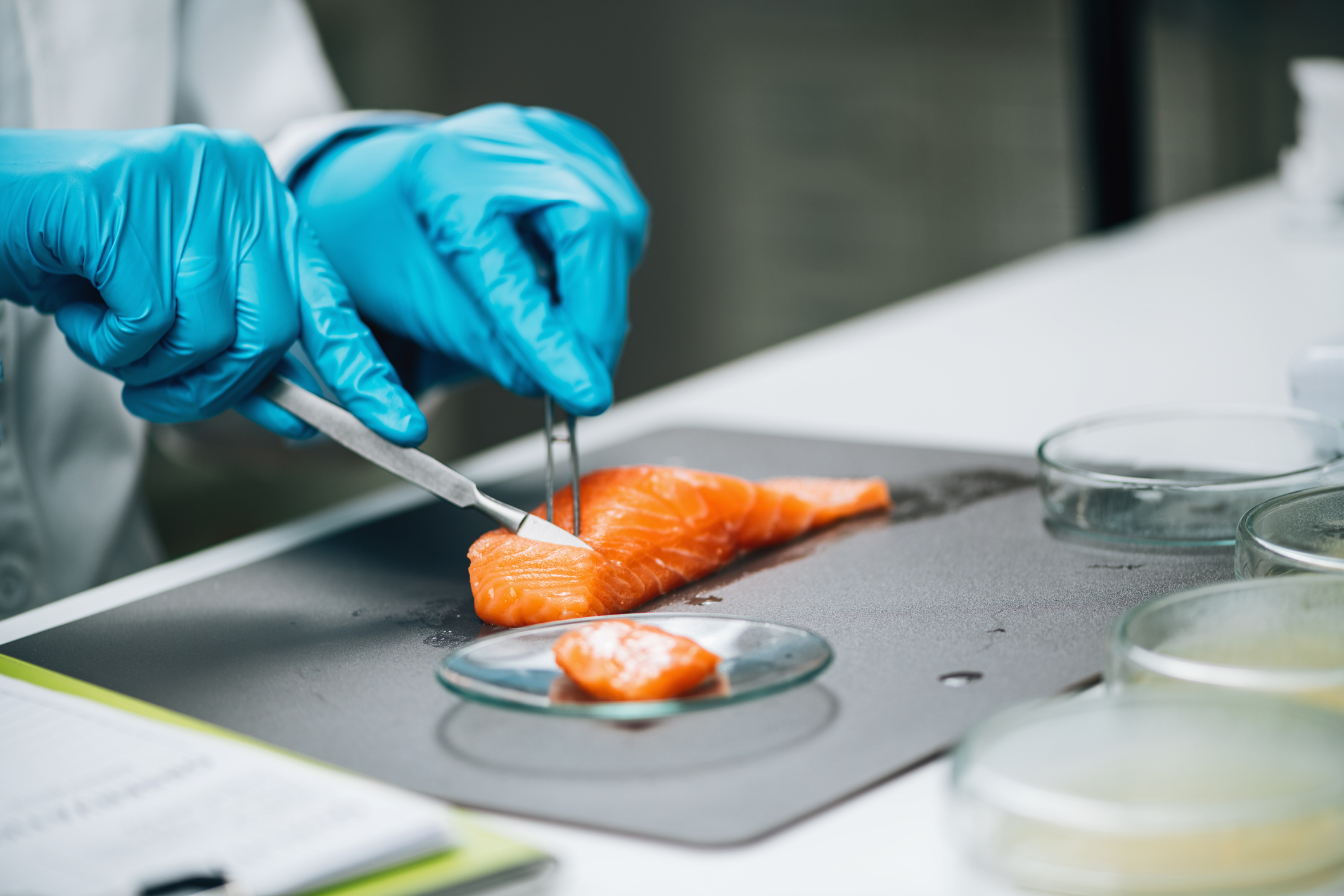 Lab-Grown Salmon Hits Menus in Oregon and Texas After FDA Green Light ...