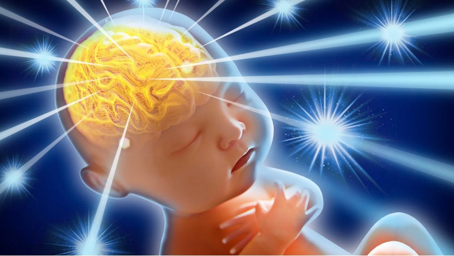 WARNING: CRISPR, Capital, and the Slow Erosion of Human Inheritance - The HighWire