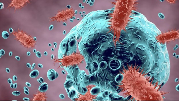 The Lasting Impact of Prescription Drugs on Gut Health - The HighWire