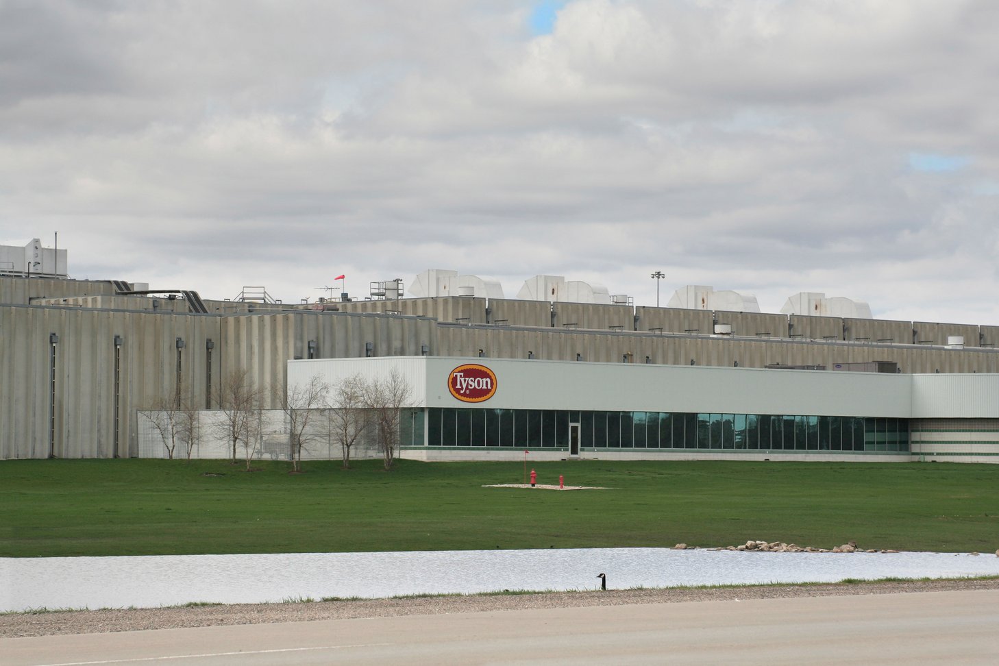 Tyson Beef Plant Layoffs Cut U.S. Processing Capacity 7–9% as Beef Demand Rises - The HighWire thumbnail