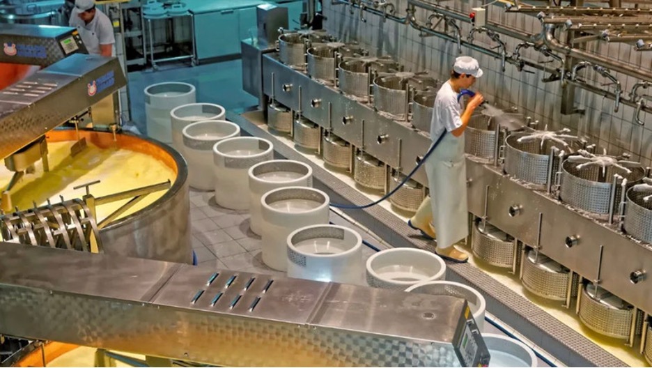 The Problem with Cheese: How Pfizer Hijacked Cheese Without Asking - The HighWire