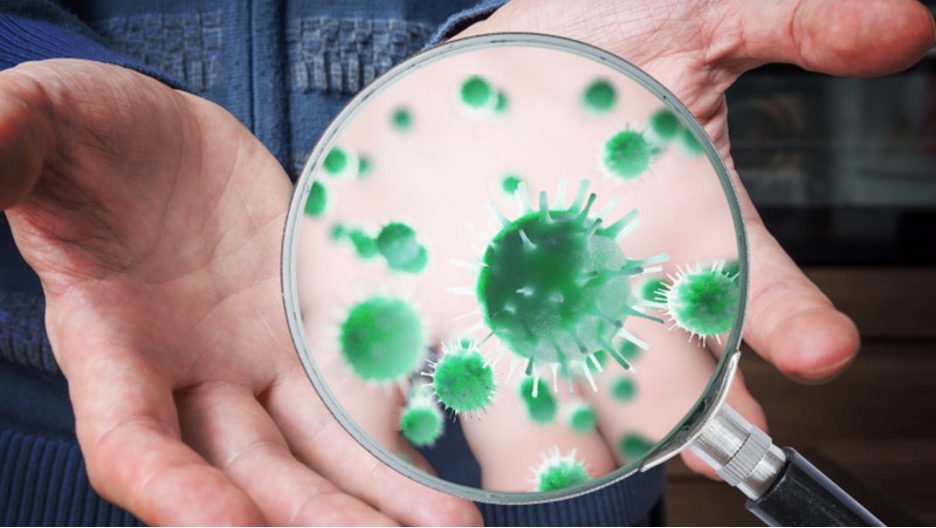 The Germ Is The Alibi - The HighWire