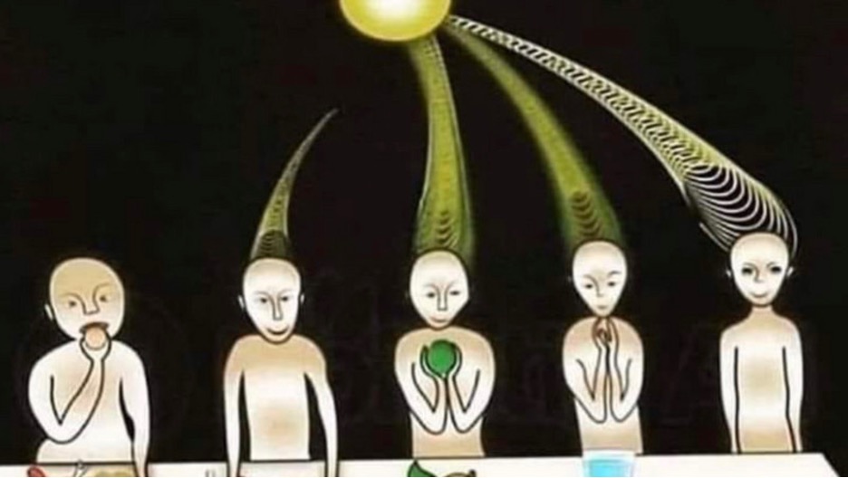 Your Body Was Never Broken. That Was the Point. - The HighWire