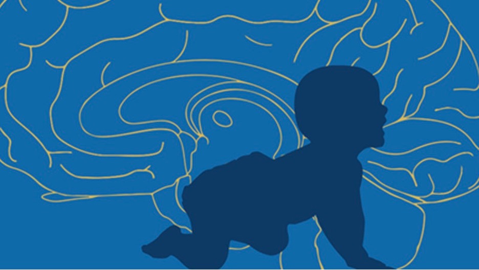 The Invisible Plasticizer Rewiring Children's Brains: DEHP's Lifelong Toll - The HighWire